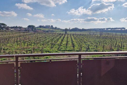 Santa Maria delle Mole – Quadrilocale nuova costruzione –