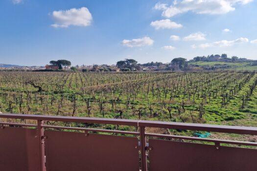 Santa Maria delle Mole – Quadrilocale nuova costruzione –